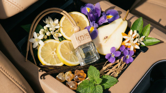 Che profumo auto fa per te? Quiz semplice (puliti, dolci o legnosi)
